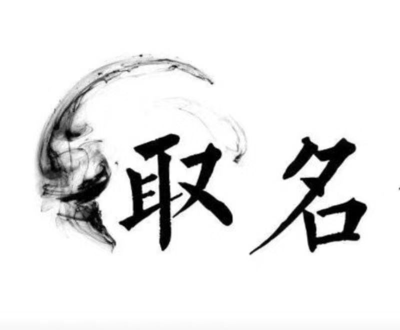  青龙宝宝取名 大师一对一人工起名